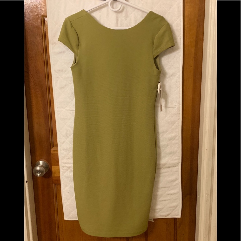 Philosophy sheath pea green dress